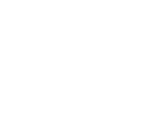 Certified NMSDC MBE 2020